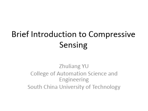 Compressive Sensing(2)