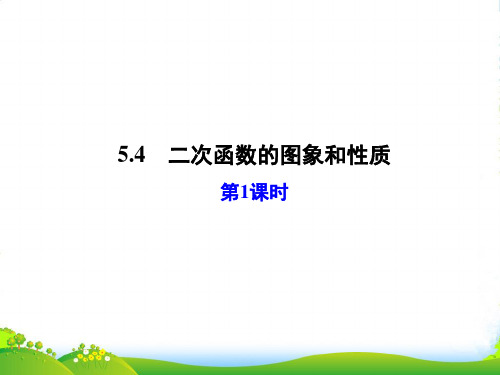 青岛版九年级数学下册第五章《二次函数的图象和性质(第1课时)》公开课课件