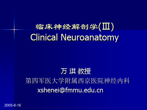 临床神经解剖学(Ⅲ)[1]