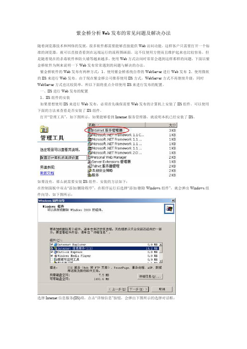 紫金桥分析Web发布的常见问题及解决办法