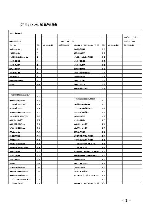 2007版财务会计报表