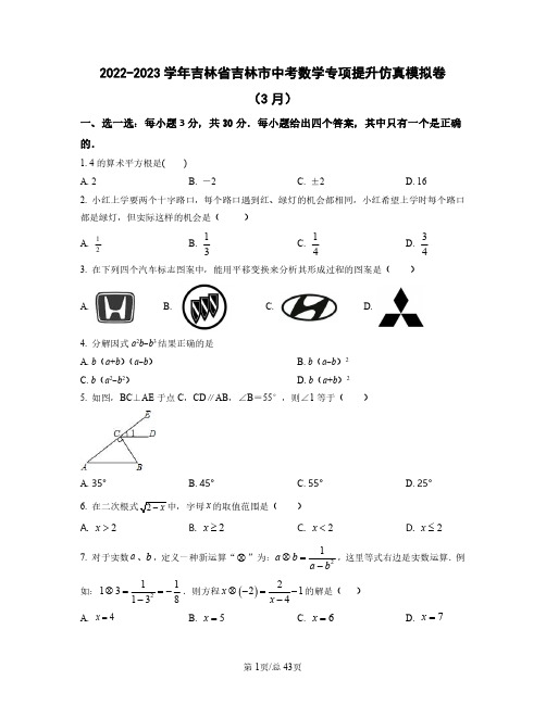 2022——2023学年吉林省吉林市中考数学专项提升仿真模拟卷(3月4月)含答案