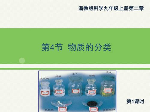 浙教版九年级上册科学2.4《物质的分类》1第一课时优秀课件