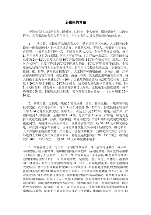 金钱龟的养殖
