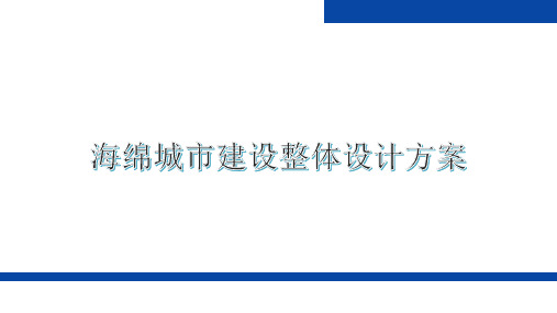 海绵城市建设整体设计方案