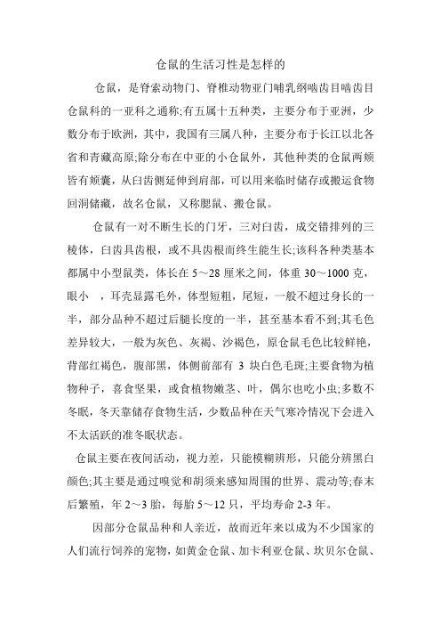 仓鼠的生活习性是怎样的