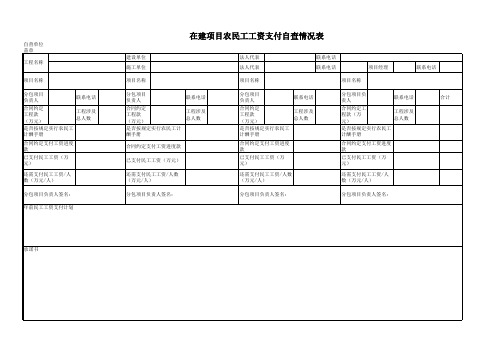 农民工工资支付自查表