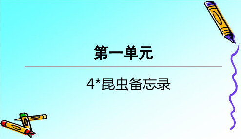 部编版三下语文4 昆虫备忘录课课练一课一练当堂练习PPT课件