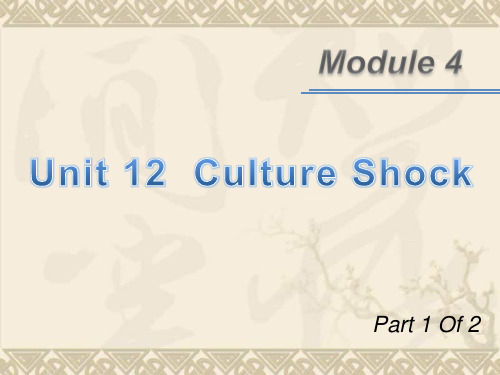 广东省高考英语新课标一轮总复习课件(北师大版)M4 unit 12-1 Culture Shock