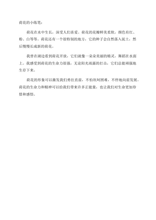 三年级下册语文的第三篇荷花的小练笔怎么写