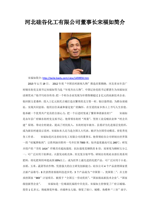 河北硅谷化工有限公司董事长宋福如