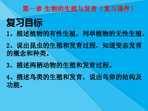 生物的生殖和发育ppt20 人教版优秀课件