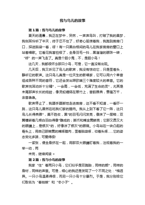 我与鸟儿的故事