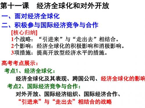 2017届高三政治一轮复习课件：经济全球化与对外开放 (共18张PPT)