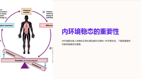 内环境稳态的在重要性