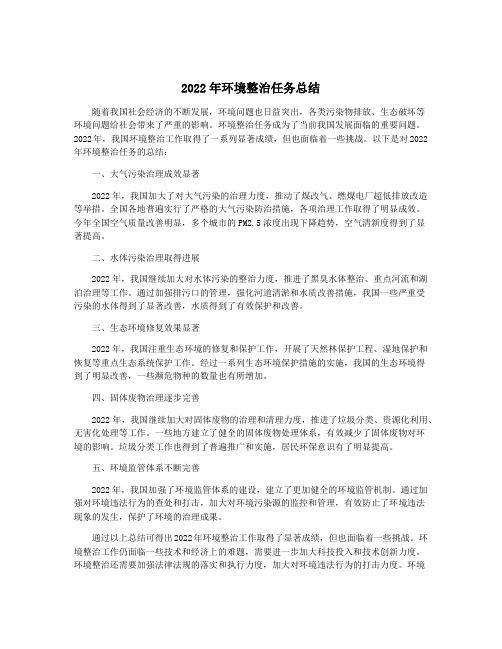 2022年环境整治任务总结