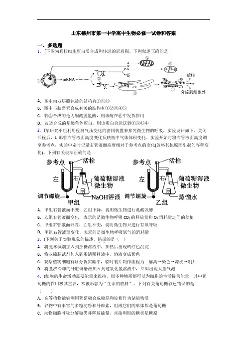 山东德州市第一中学高中生物必修一试卷和答案