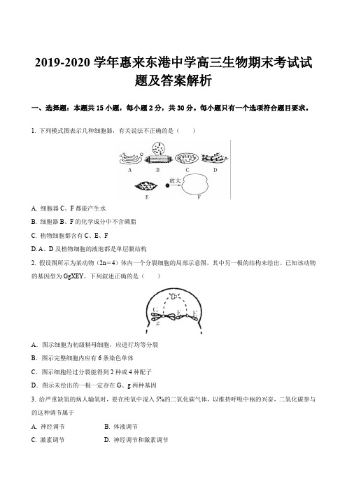 2019-2020学年惠来东港中学高三生物期末考试试题及答案解析