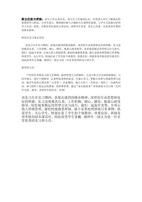班主任实习评语