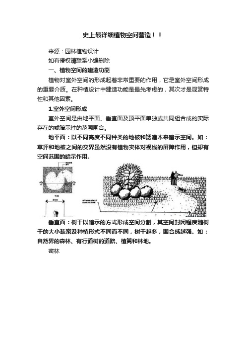 史上最详细植物空间营造！！