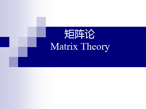 Matrix1-1