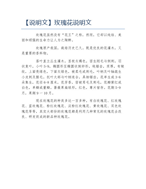 说明文玫瑰花说明文