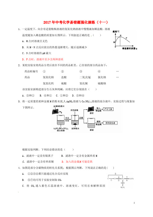 2017届中考化学 易错题强化演练十一 精品