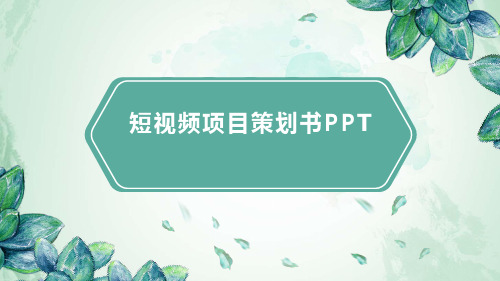 短视频项目策划书PPT