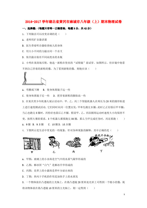 湖北省黄冈市麻城市八年级物理上学期期末试卷(含解析)