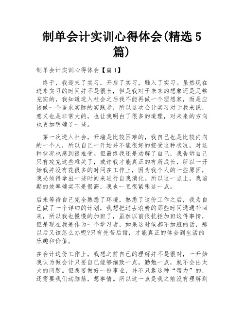 制单会计实训心得体会(精选5篇)