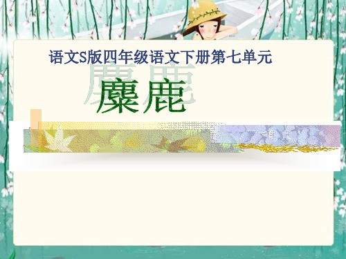 《麋鹿》课件(语文S版四年级下册课件)