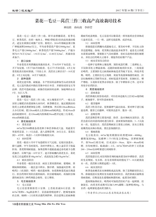 菜花-毛豆-莴苣三作三收高产高效栽培技术