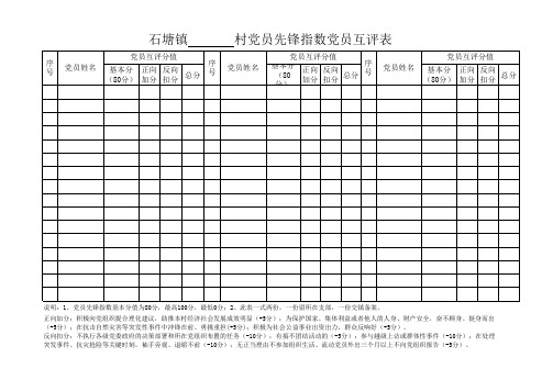 农村党员先锋指数考评表