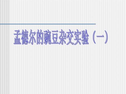 人教版教学课件孟德尔的豌豆杂交实验1