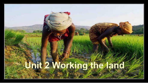 高中英语人教版必修四unit_2_working_the_land (2)ppt课件