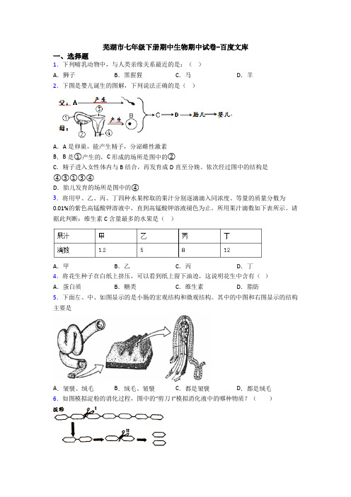 芜湖市七年级下册期中生物期中试卷-百度文库