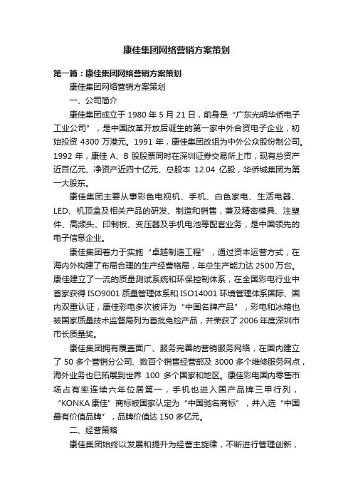 康佳集团网络营销方案策划