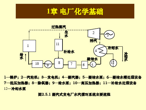 《电厂化学基础》PPT课件