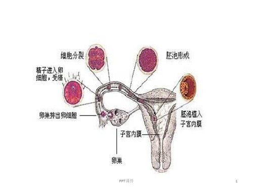 高中生物教材图片(清晰完整版)  ppt课件