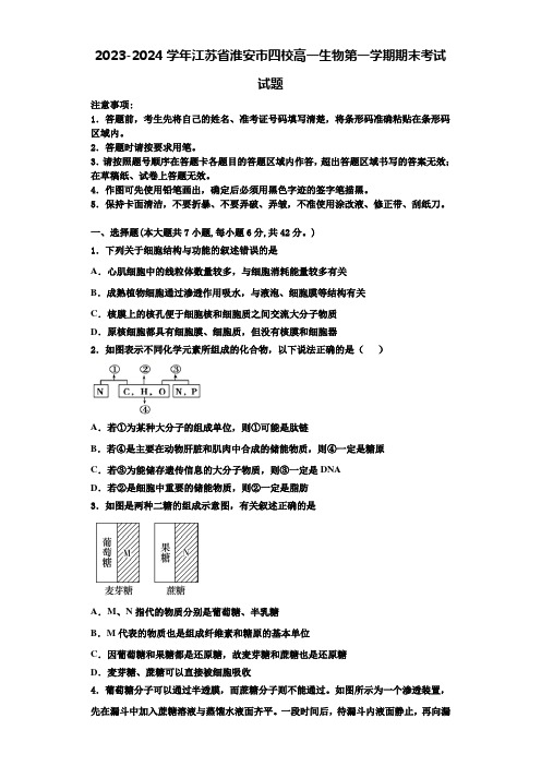 2023-2024学年江苏省淮安市四校高一生物第一学期期末考试试题含解析