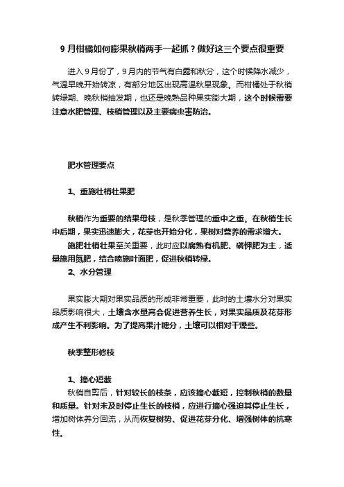 9月柑橘如何膨果秋梢两手一起抓？做好这三个要点很重要