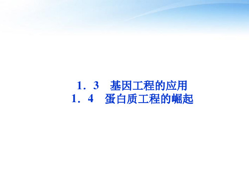 专题1 13和14蛋白质工程的崛起课件 新人教版选修3