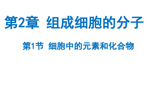 细胞中的元素和化合物课件-高一生物人教版必修1