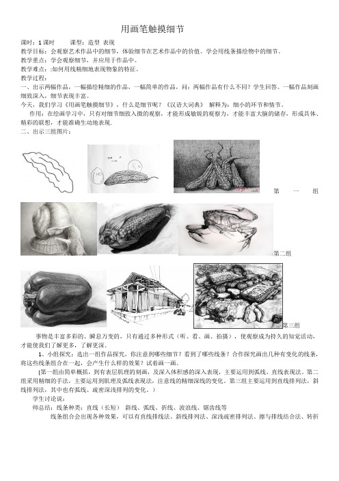 用画笔触摸细节改后教案