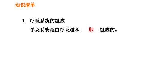 人教版七年级下册生物第3章4.3.1呼吸道对空气的处理习题课件2