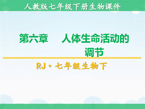 人教版生物七年级下册第六章人体生命活动的调节全套课件