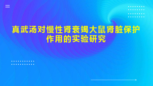 真武汤对慢性肾衰竭大鼠肾脏保护作用的实验研究