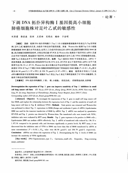 下调DNA拓扑异构酶Ⅰ基因提高小细胞肺癌细胞株对足叶乙甙的敏感性