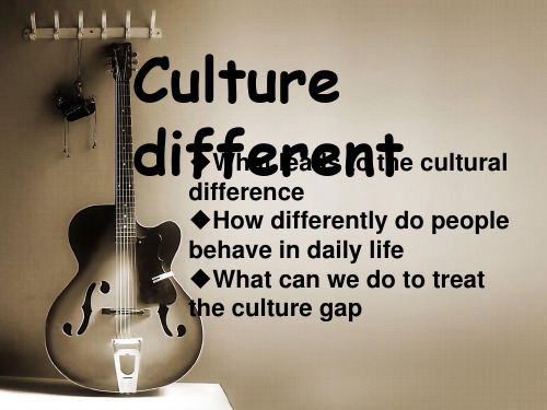 文化差异 (英语) culture different