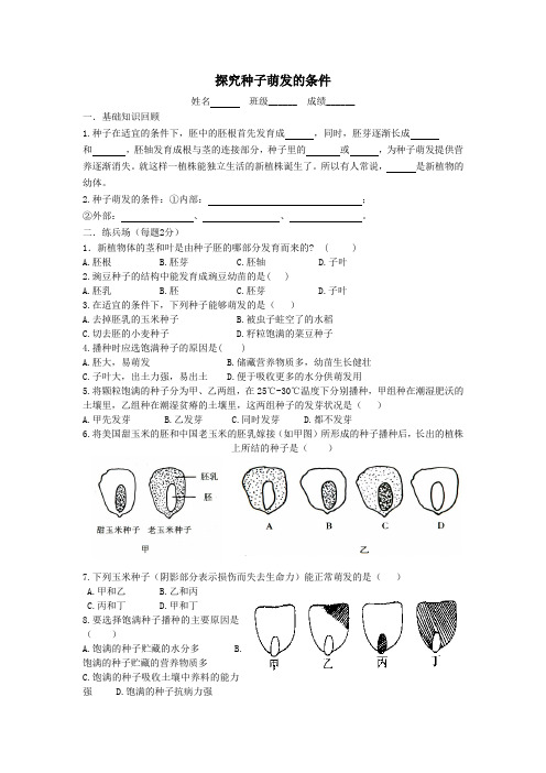 三年级科学下册《探究种子萌发的条件》练习苏教版